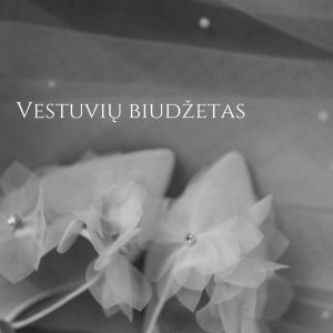 Elektroninė knyga - vestuvių biudžetas